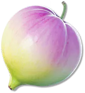 Capability Fruit
