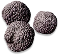 Dawndelion Aromathyst