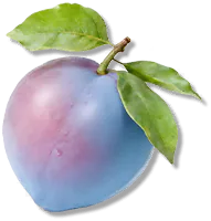 Psyche Fruit