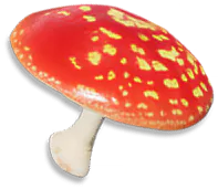 Red Cap
