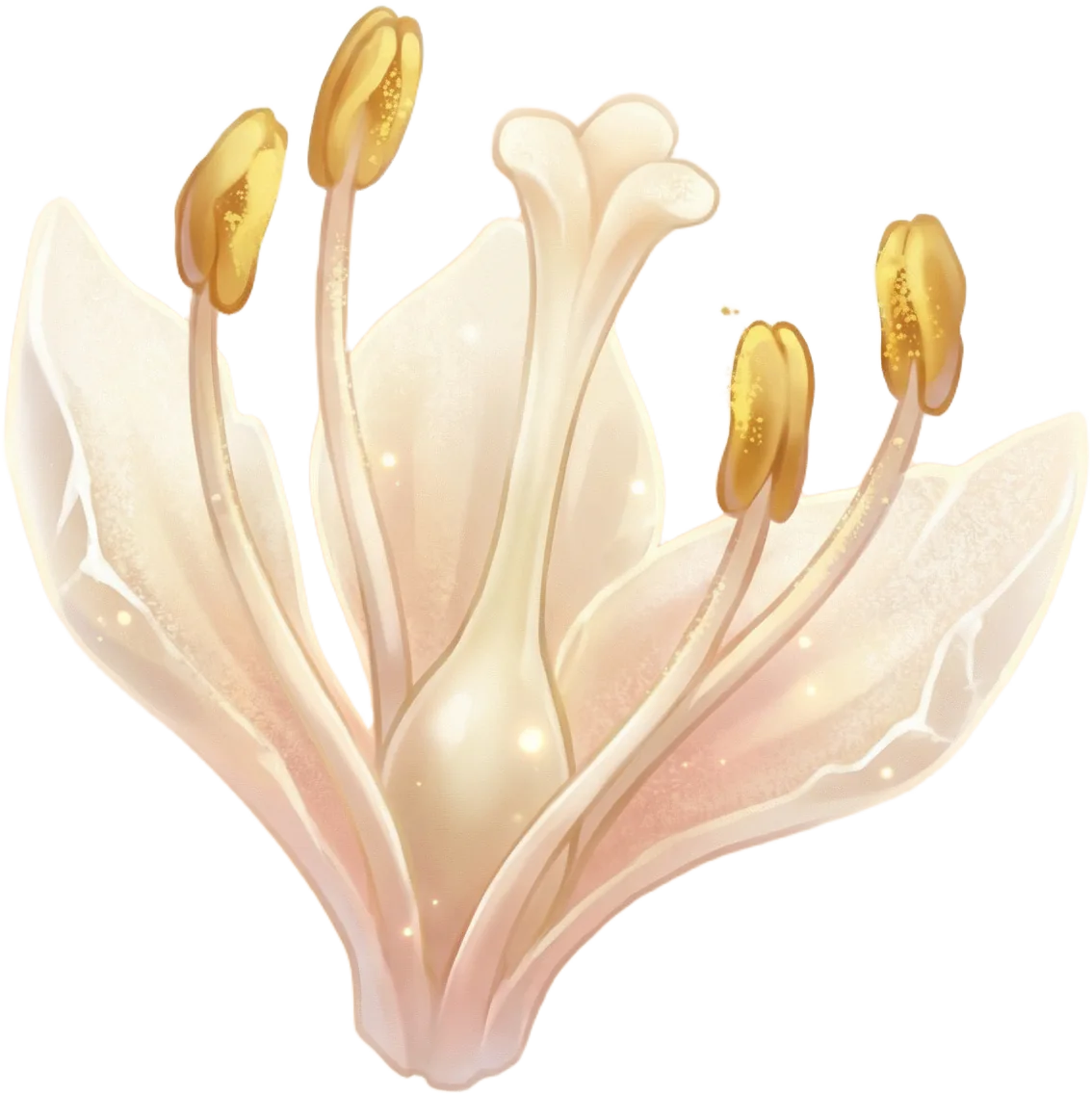 Stamen of Cubbo’s Rose